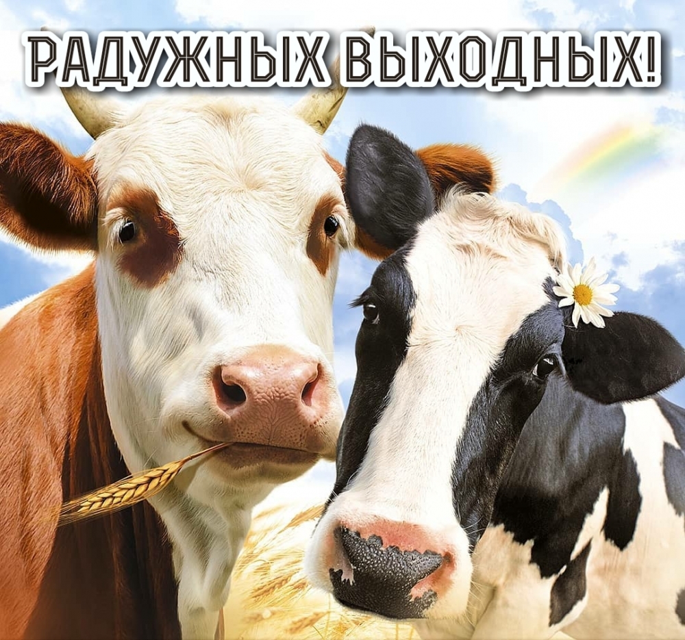 Радужных выходных!