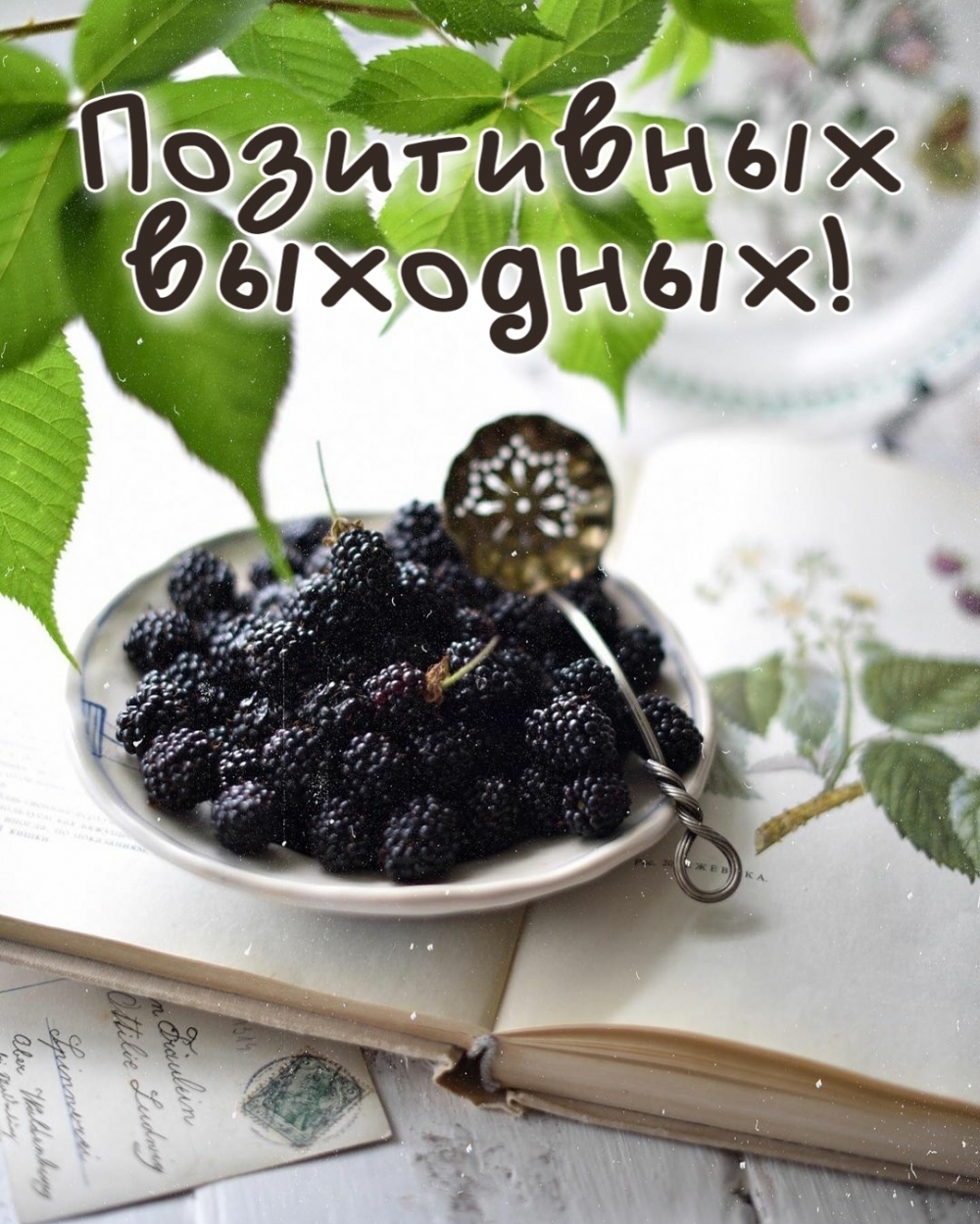 Позитивных выходных!