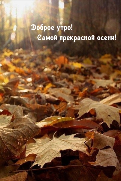 Доброе утро! Самой прекрасной осени!