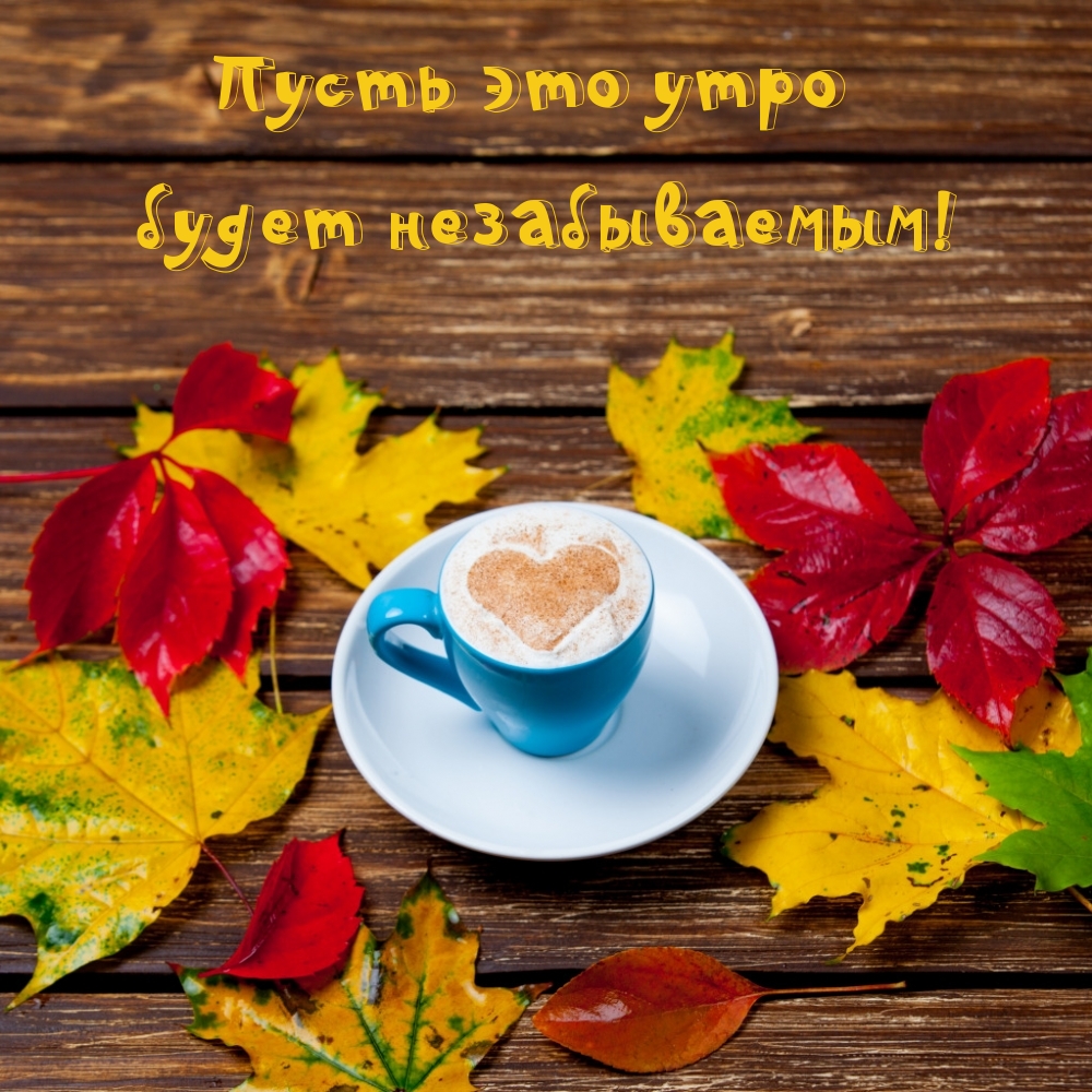 Пусть это утро будет незабываемым!