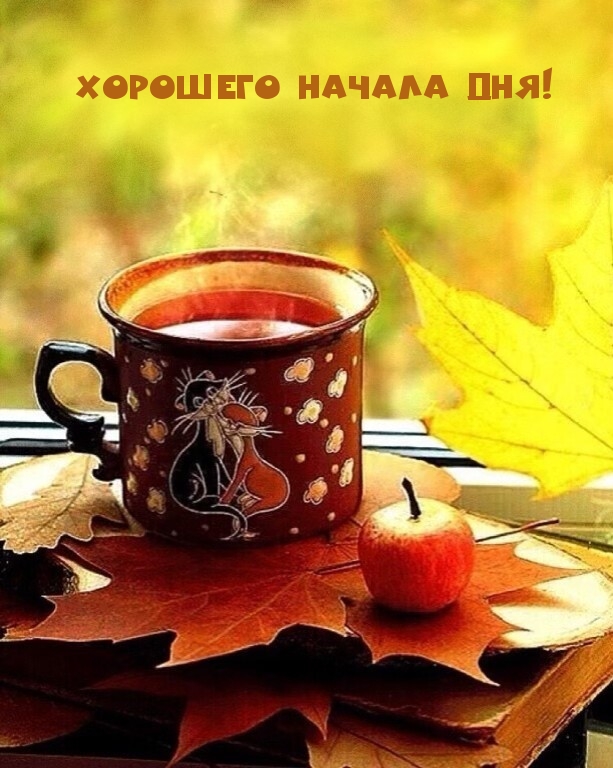 Хорошего начала дня!