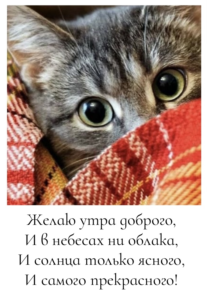 Желаю утра доброго, и в небесах ни облака