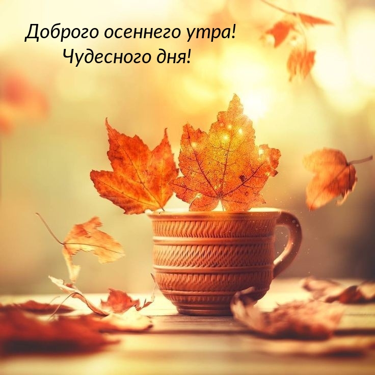 Доброго осеннего утра! Чудесного дня!