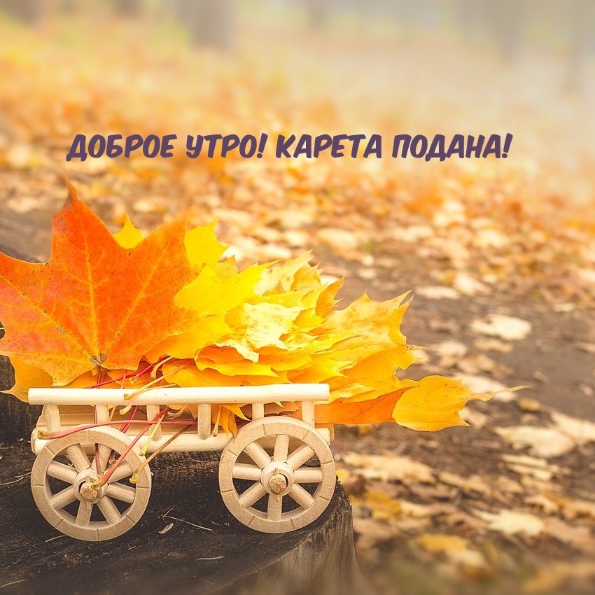 Доброе утро! Карета подана!
