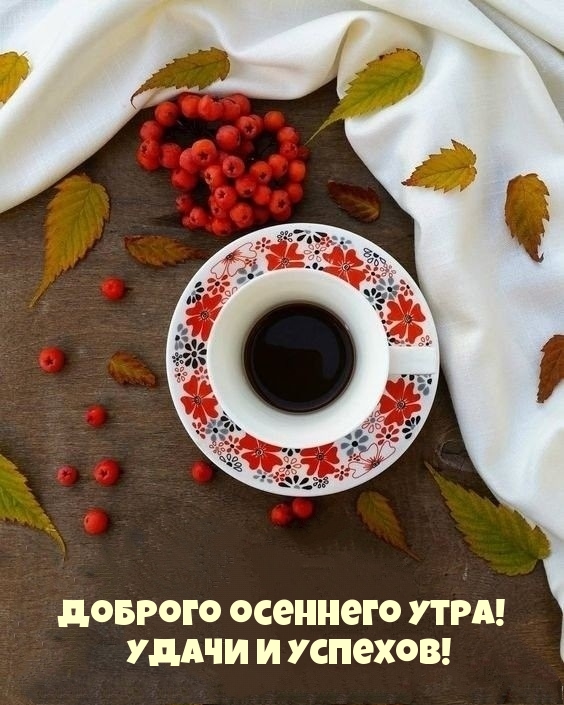 Доброго осеннего утра! Удачи и успехов!