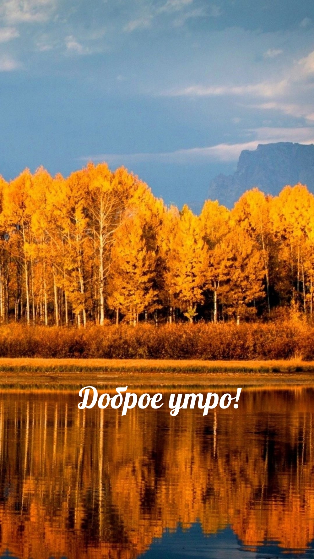 Доброе утро!