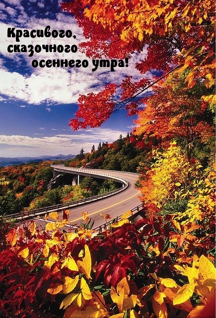Красивого, сказочного осеннего утра!