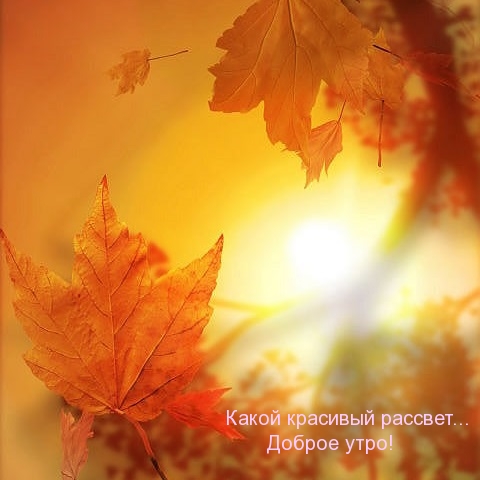 Какой красивый рассвет… Доброе утро!
