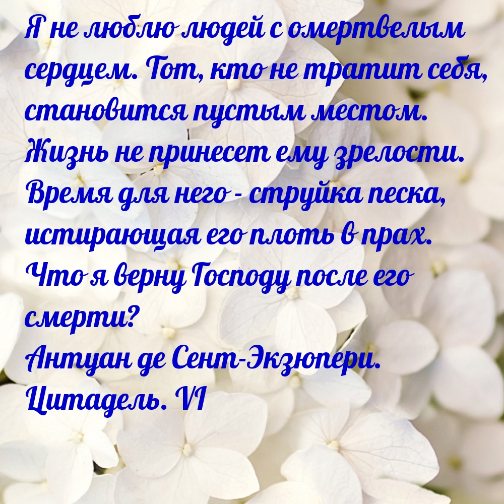 Я не люблю людей с омертвелым сердцем.