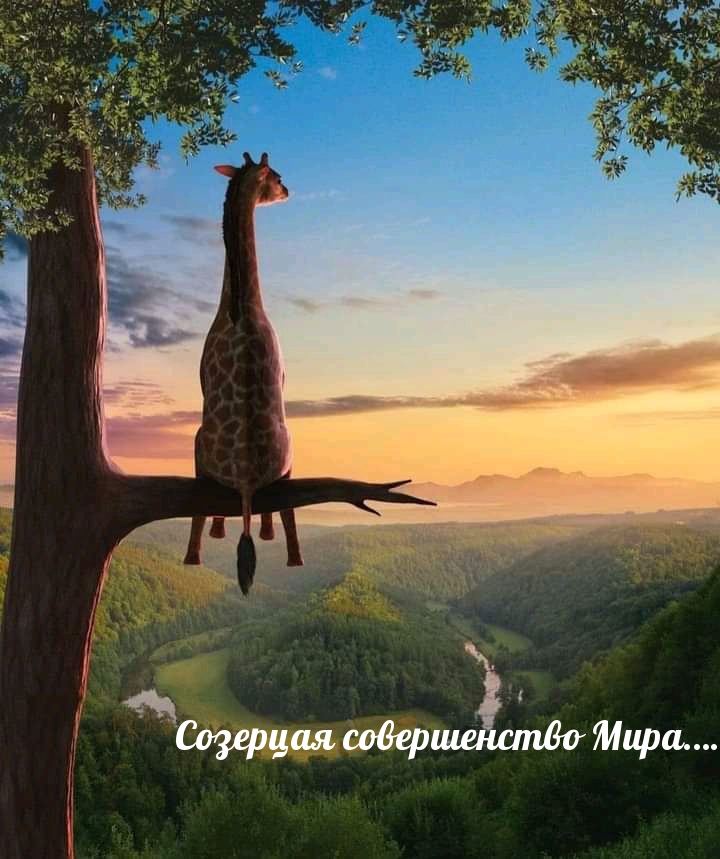 Созерцая совершенство Мира….