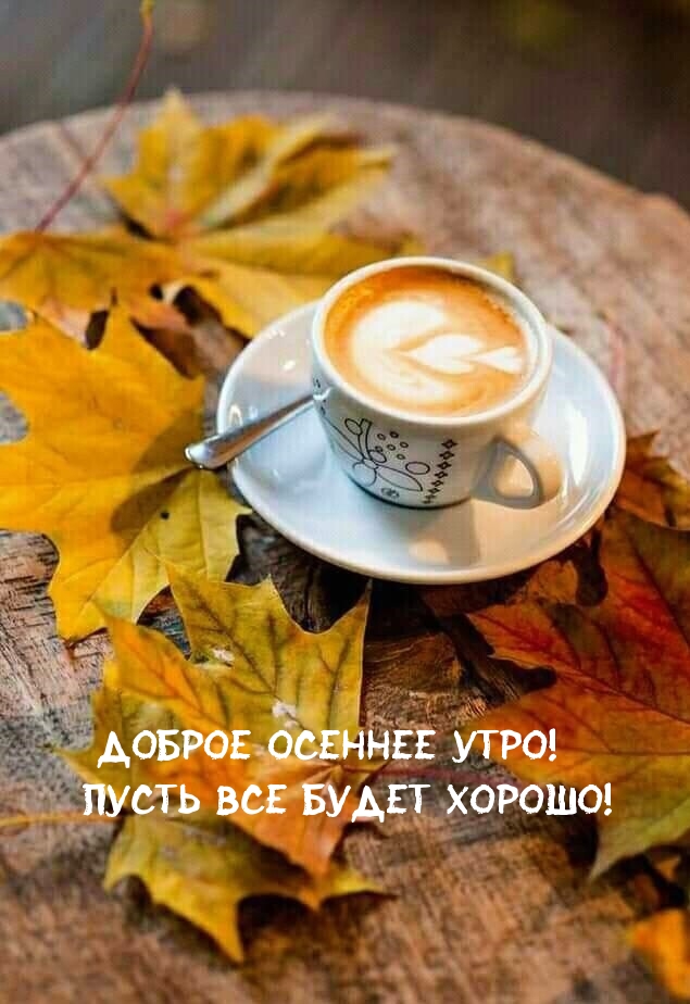 Доброе осеннее утро! Пусть все будет хорошо!