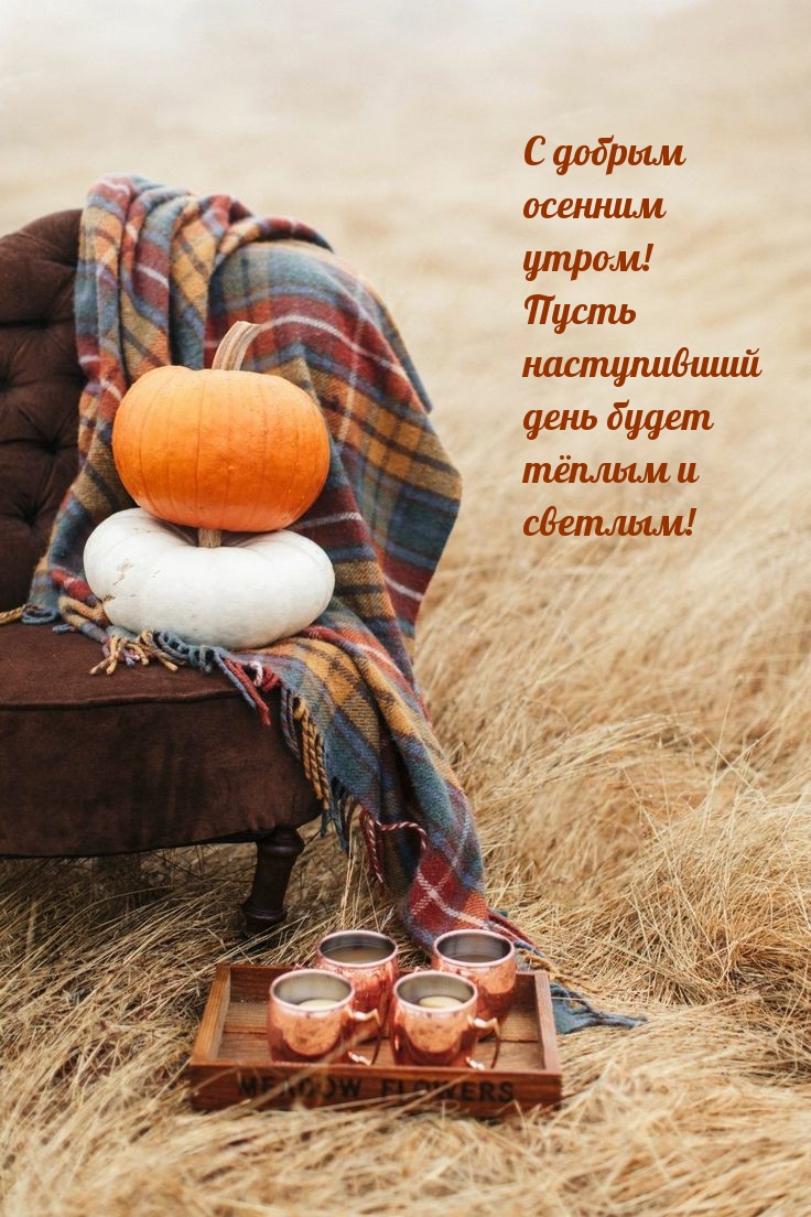 С добрым осенним утром!
