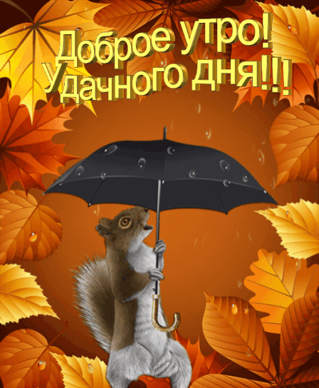 Доброе утро! Удачного дня!