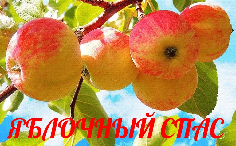 ЯБЛОЧНЫЙ СПАС