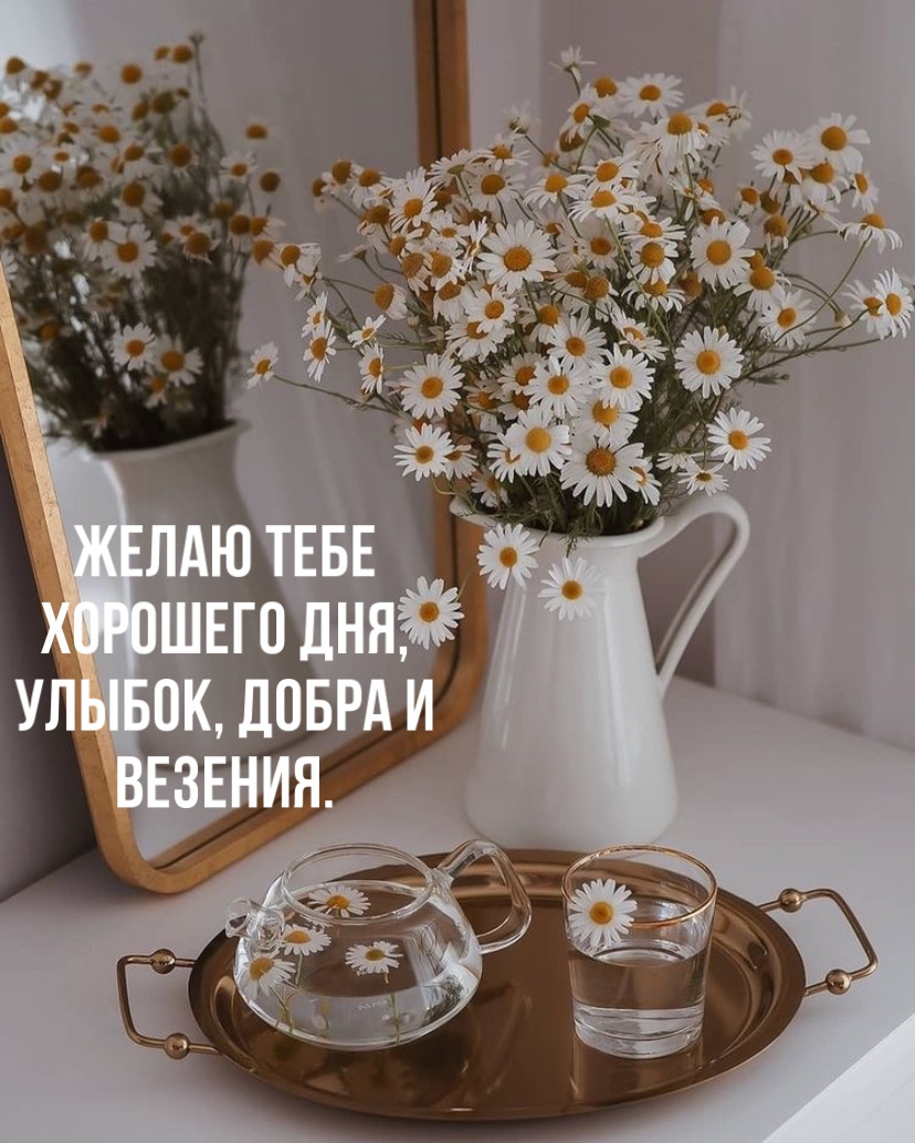 Желаю тебе хорошего дня, улыбок, добра и везения.