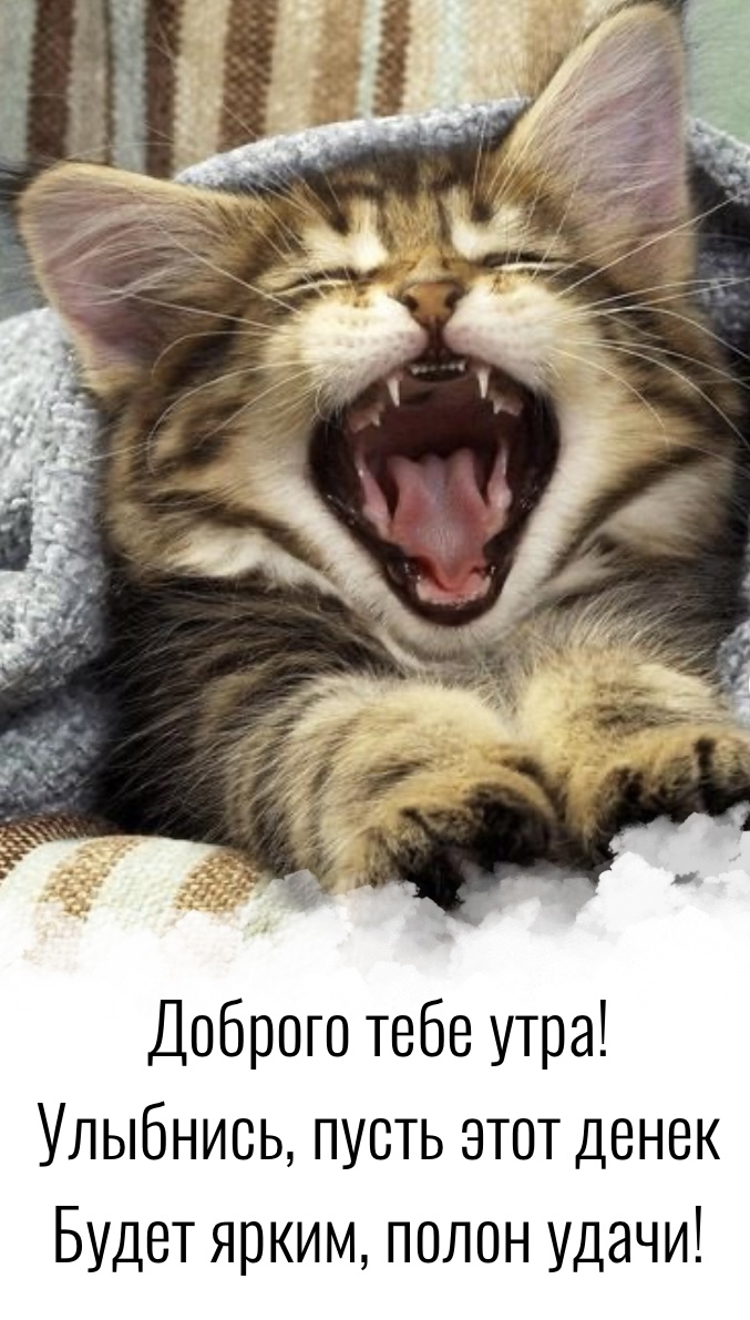 Доброго тебе утра! Улыбнись, пусть этот денек будет ярким