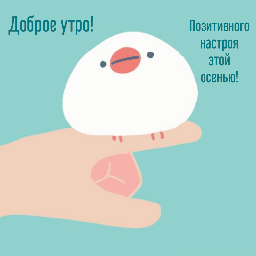 Картинки с надписями.  Доброе утро! Позитивного настроя.