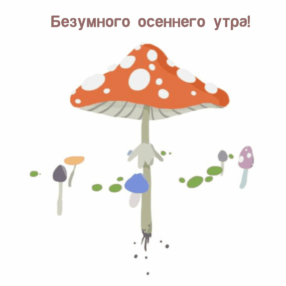 Безумного осеннего утра!