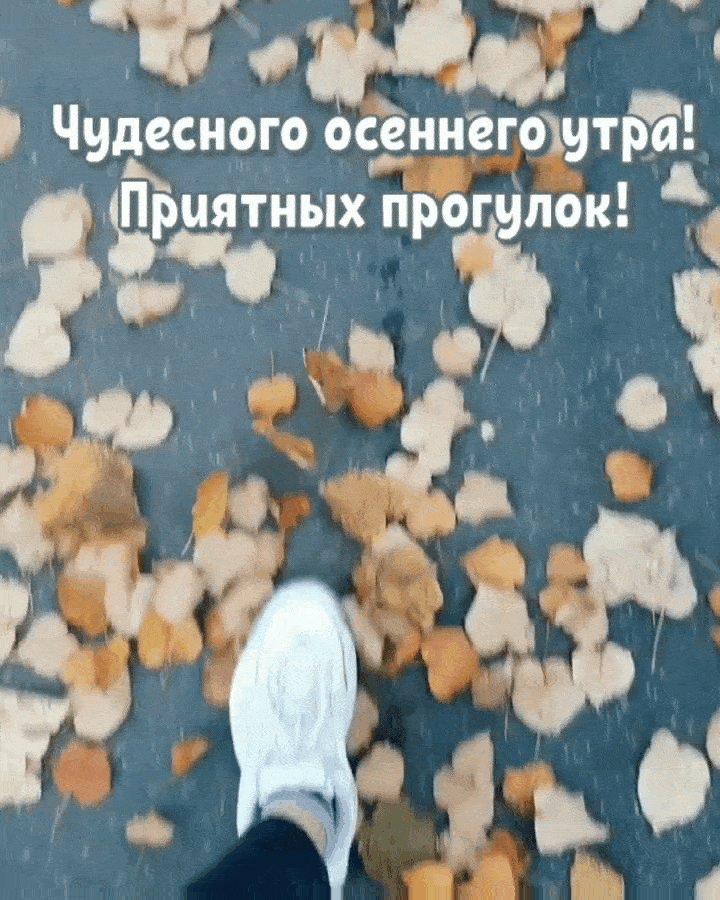 Чудесного осеннего утра!