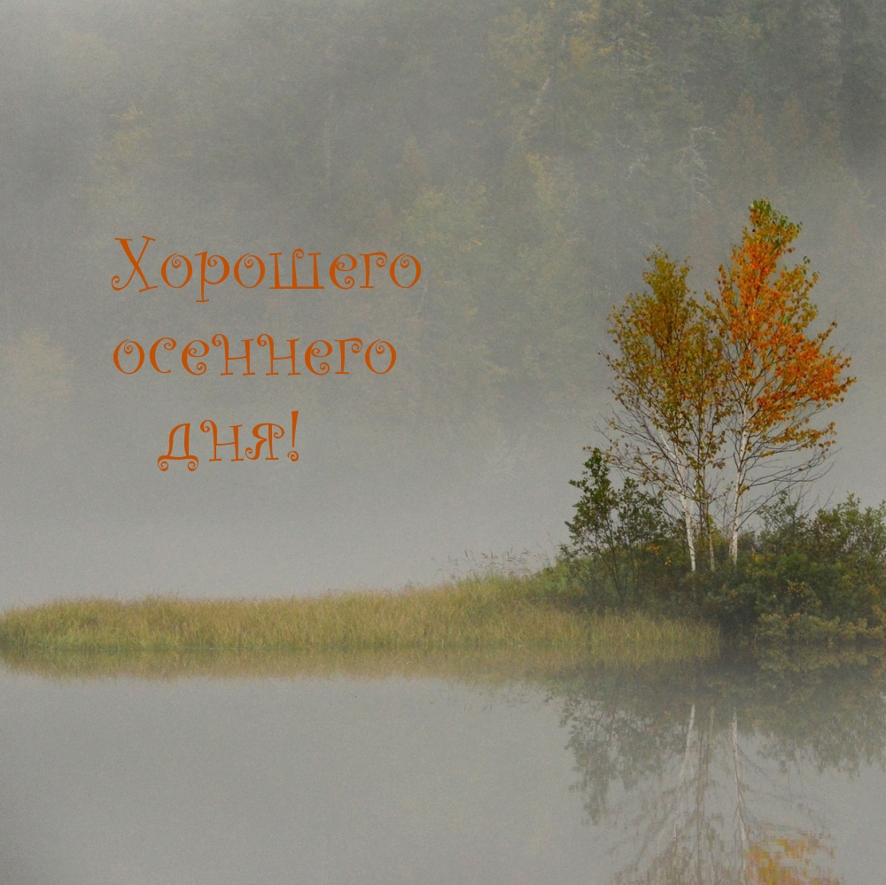 Хорошего осеннего дня!