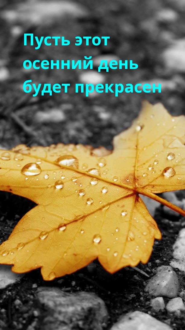 Пусть этот осенний день будет прекрасен