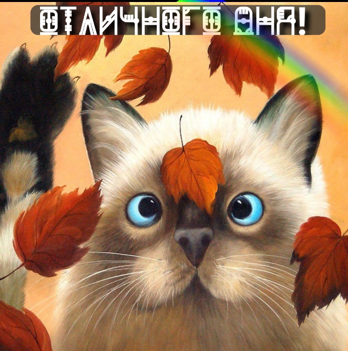 Отличного дня!