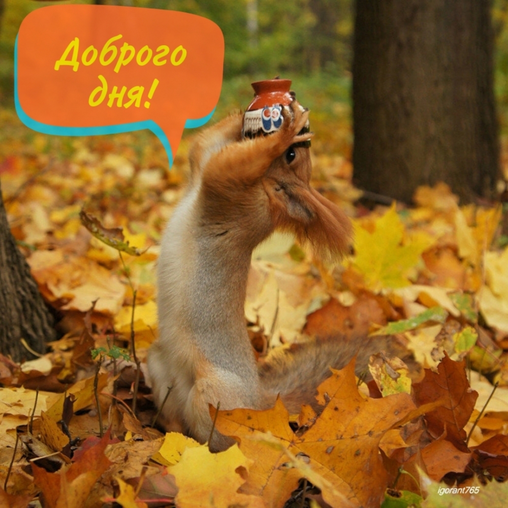Доброго дня!