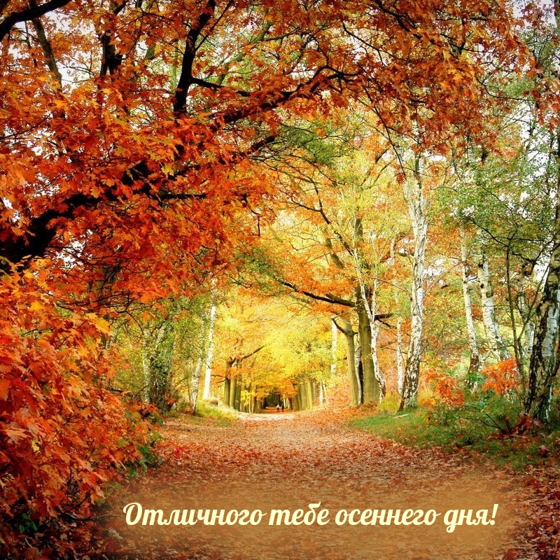 Отличного тебе осеннего дня!