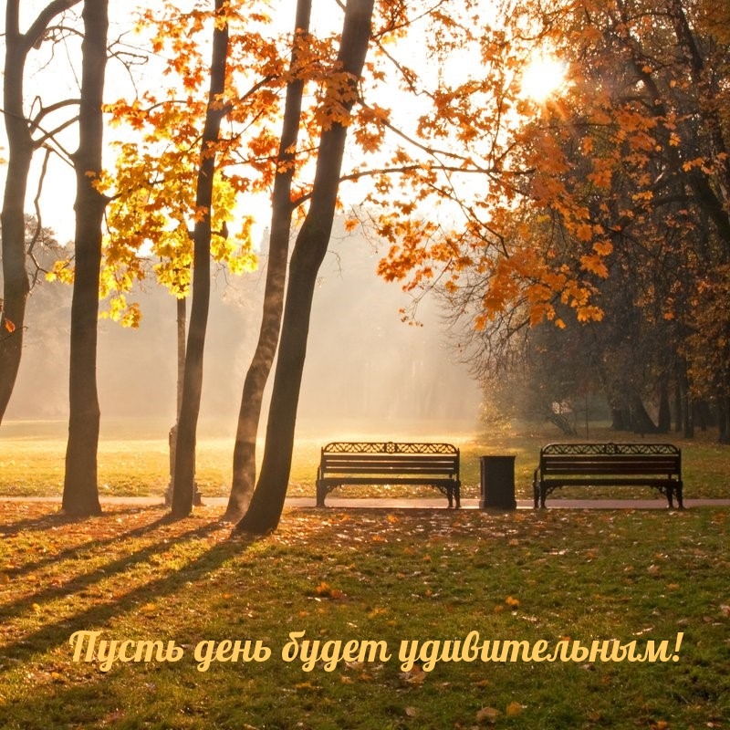 Пусть день будет удивительным!