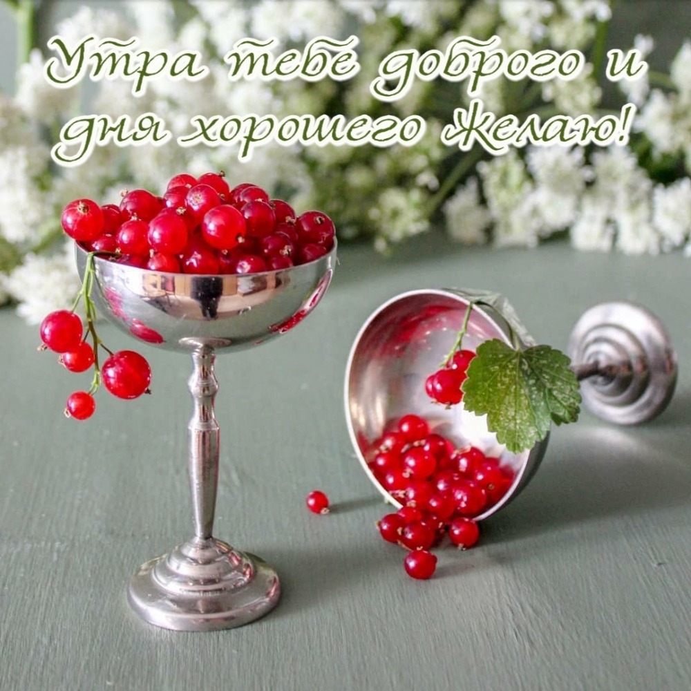 Утра тебе доброго и дня хорошего желаю!