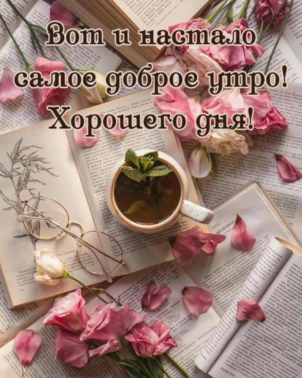 Вот и настало самое доброе утро! Хорошего дня!