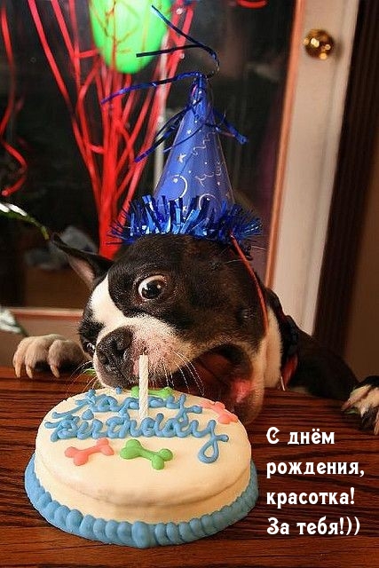 С днём рождения, красотка! За тебя!))