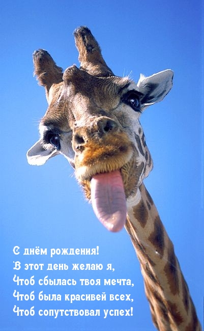 С днём рождения! В этот день желаю я, чтоб сбылась твоя мечта