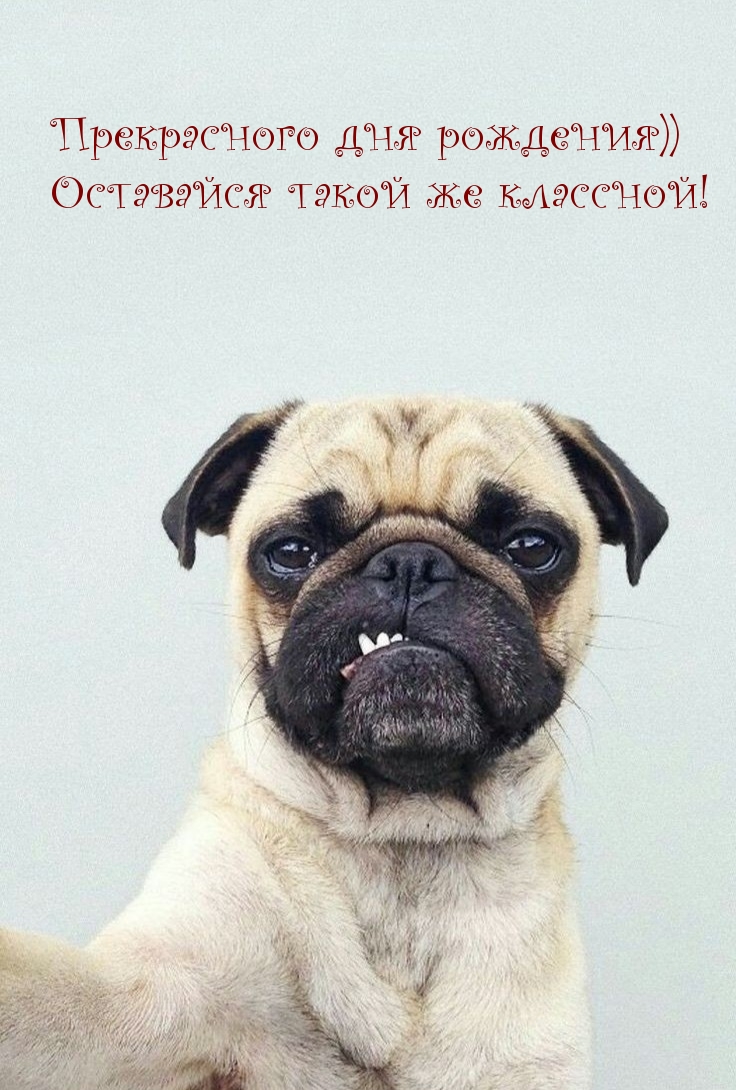 Прекрасного дня рождения)) Оставайся такой же классной!