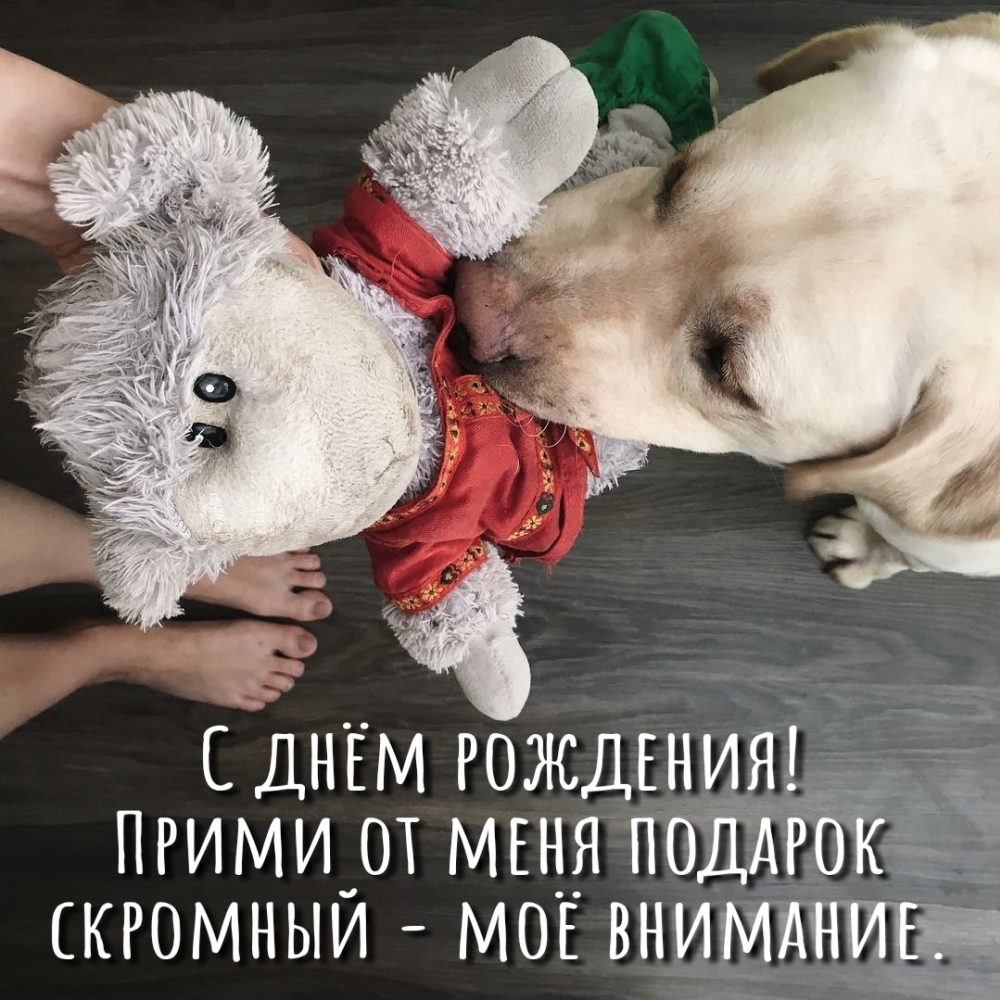 Прими от меня подарок скромный — моё внимание.