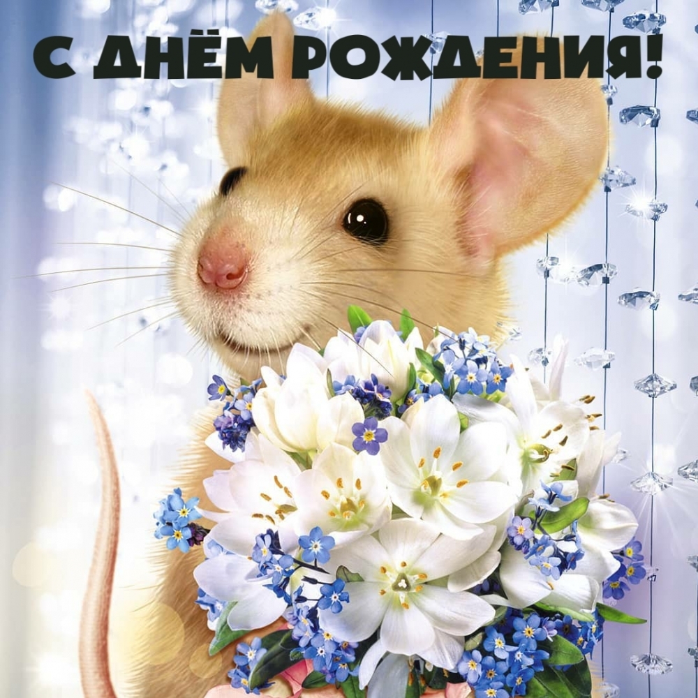С днём рождения!