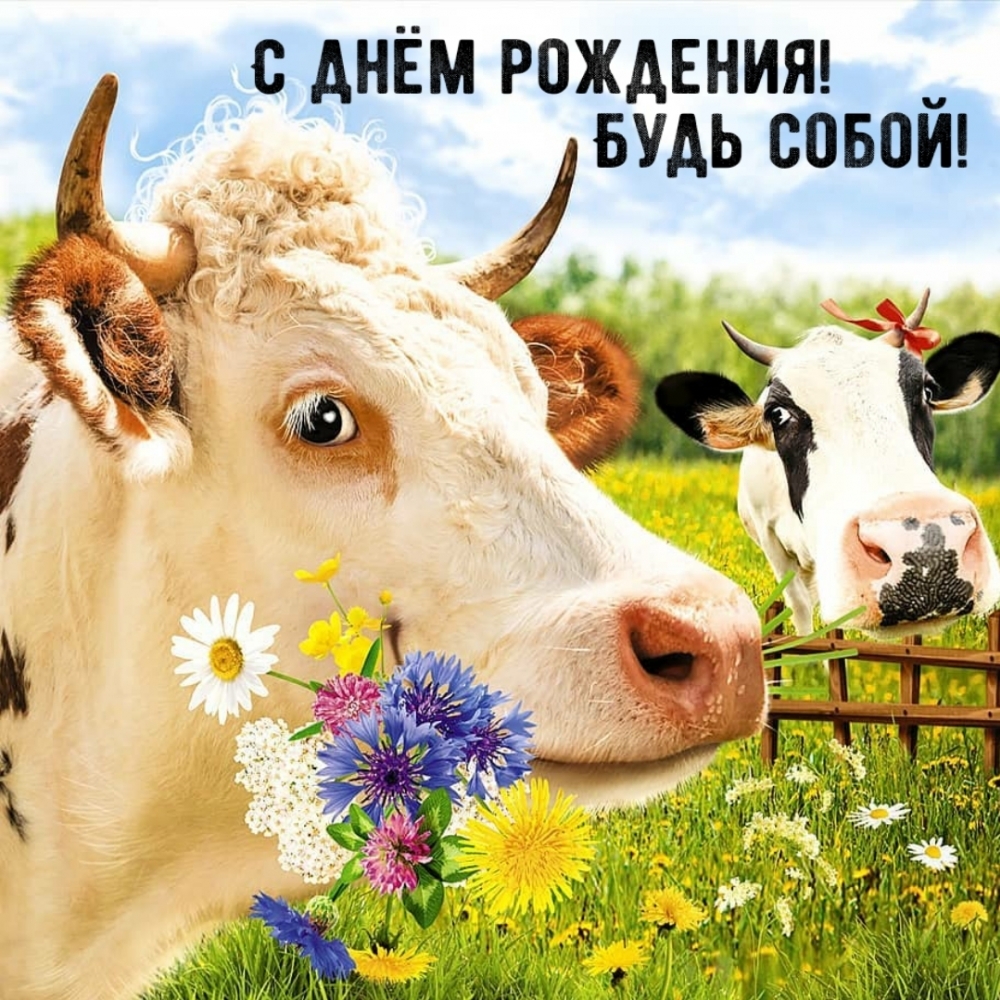 С днём рождения! Будь собой!