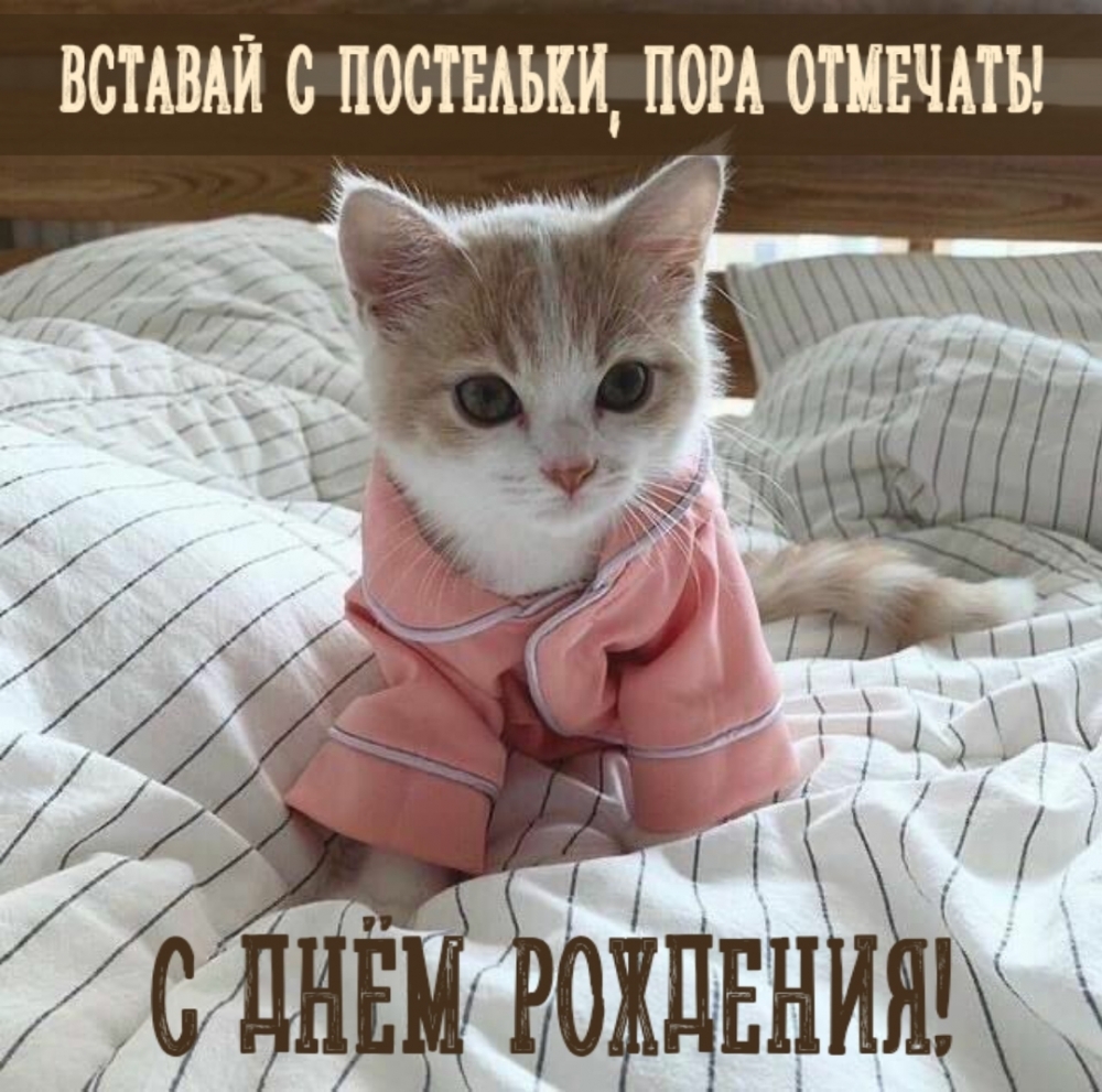 Вставай с постельки, пора отмечать! С днём рождения!