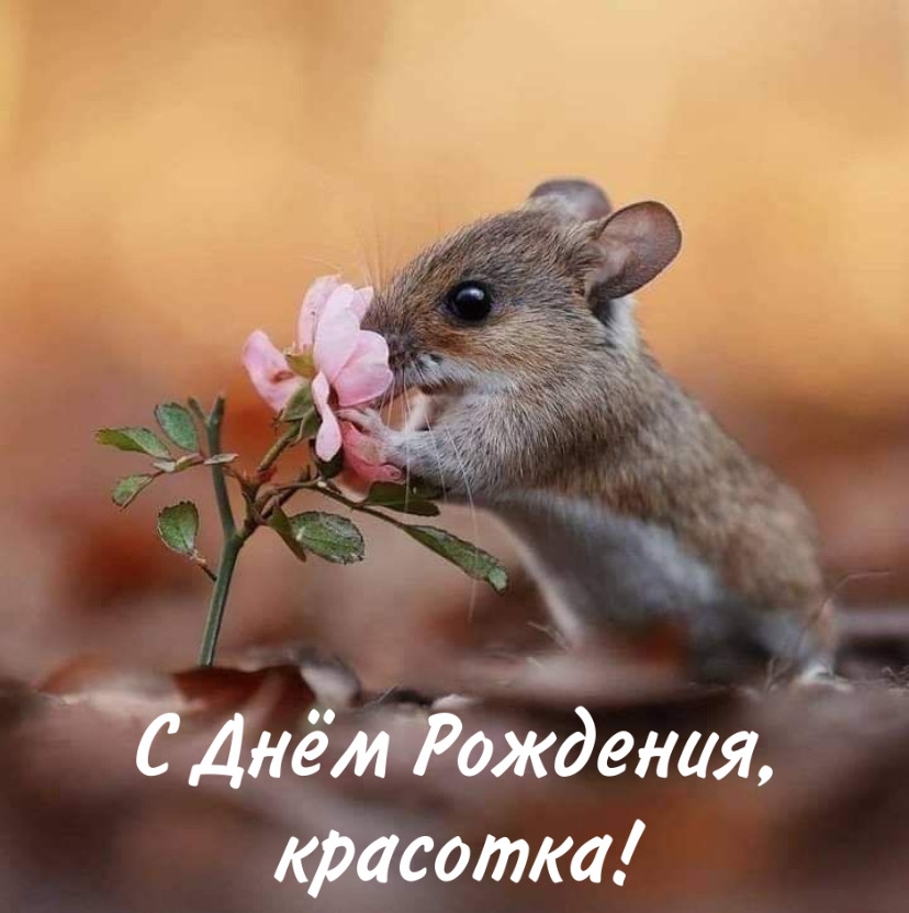С Днём Рождения, красотка!