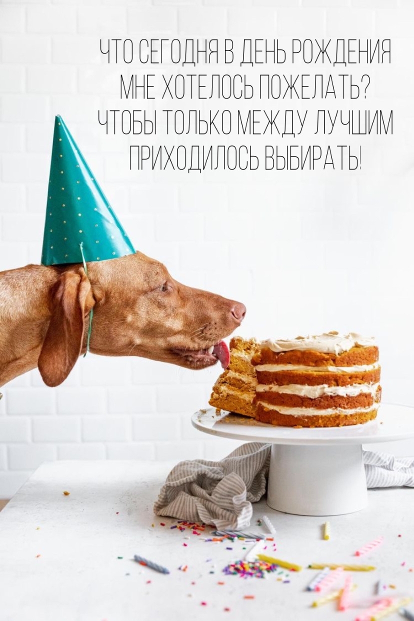 Что сегодня в день рождения мне хотелось пожелать?