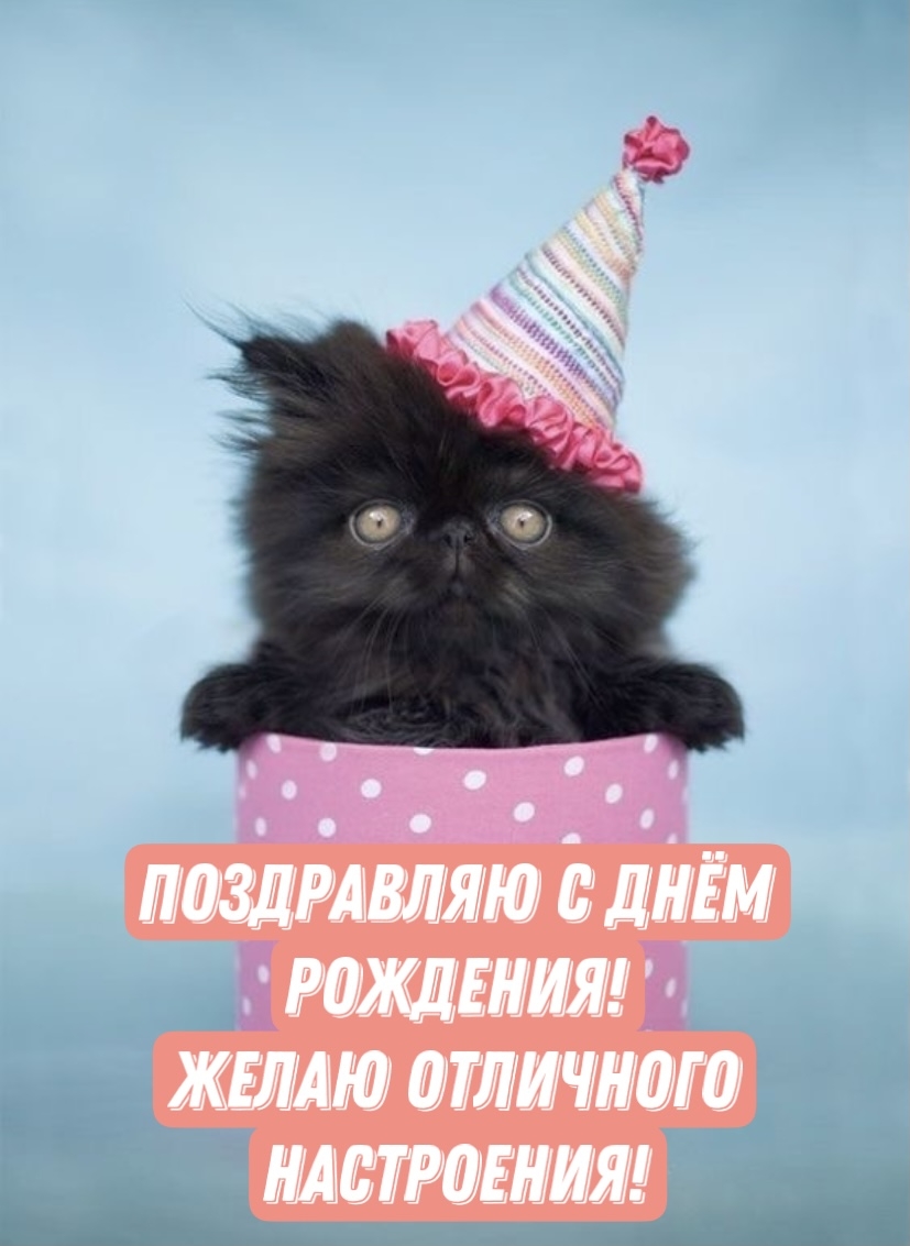 Поздравляю с днём рождения! Желаю отличного настроения!