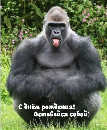 С днём рождения! Оставайся собой)