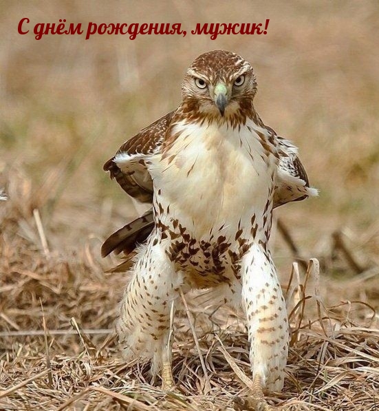 С днём рождения, мужик!