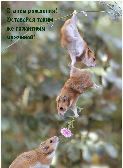 С днём рождения! Оставайся таким же галантным мужчиной!