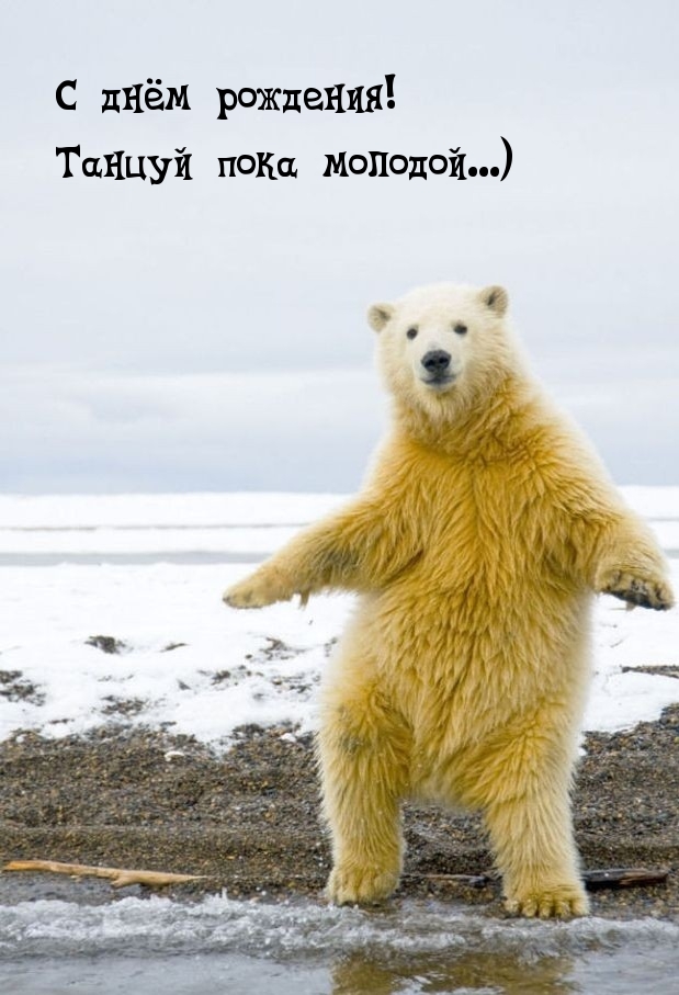 С днём рождения! Танцуй пока молодой…)