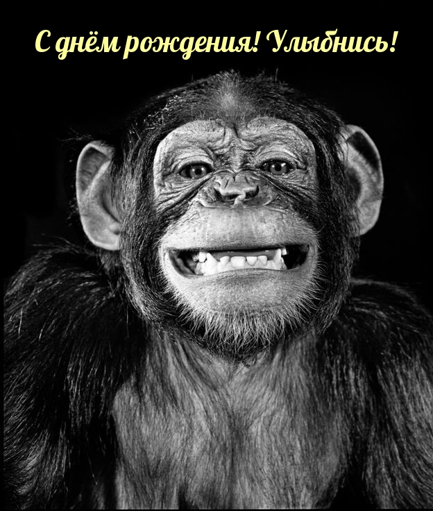 С днём рождения! Улыбнись!
