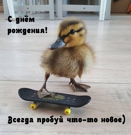 С днём рождения! Всегда пробуй что-то новое)