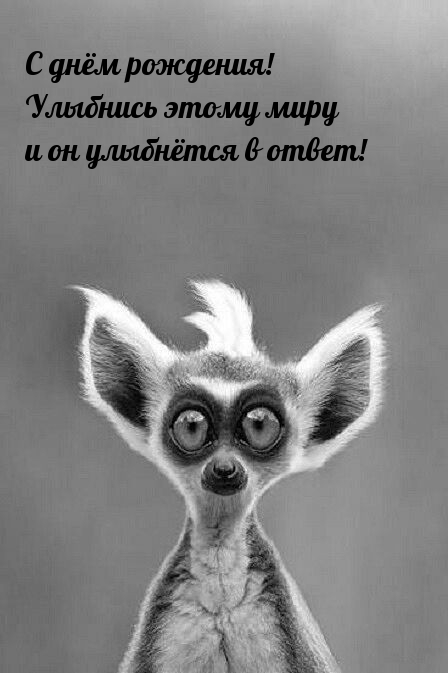 С днём рождения! Улыбнись этому миру и он улыбнётся в ответ!
