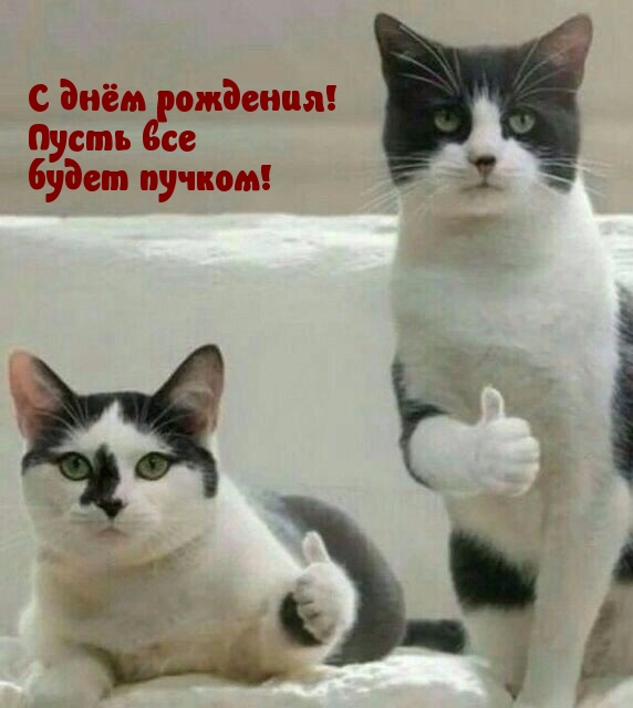 С днём рождения! Пусть все будет пучком!