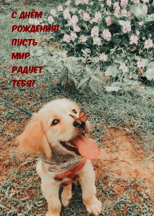 С днём рождения! Пусть мир радует тебя!